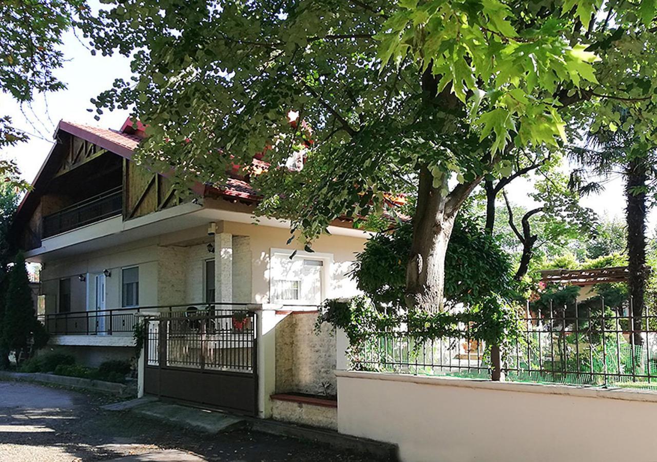 "The Plane Trees" Villa Polikarpi ภายนอก รูปภาพ