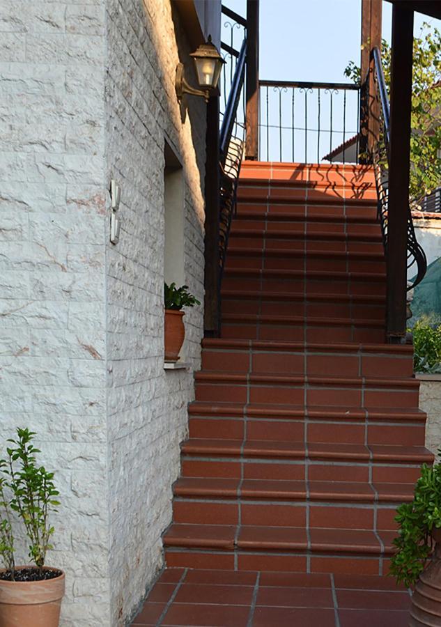 "The Plane Trees" Villa Polikarpi ภายนอก รูปภาพ