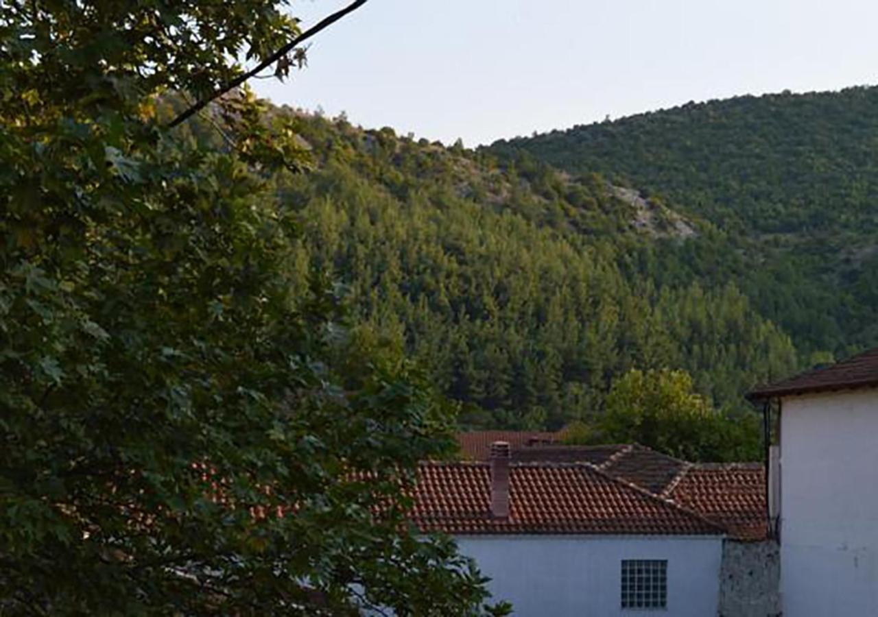 "The Plane Trees" Villa Polikarpi ภายนอก รูปภาพ