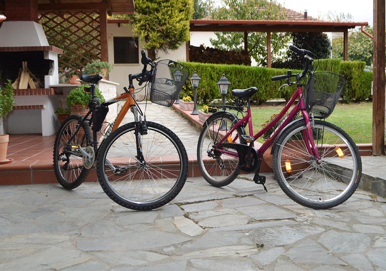 "The Plane Trees" Villa Polikarpi ภายนอก รูปภาพ